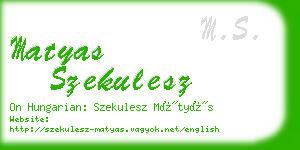 matyas szekulesz business card